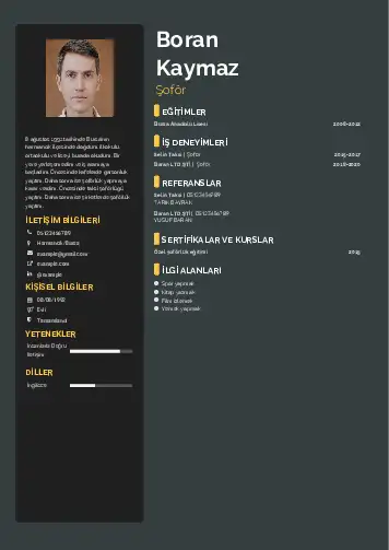 Şoför Cv Örnekleri cv indir